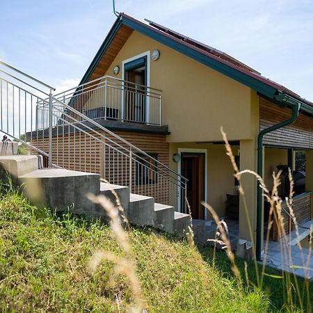 Weinberghaus Am Burgstallkogel Leibnitz Ngoại thất bức ảnh