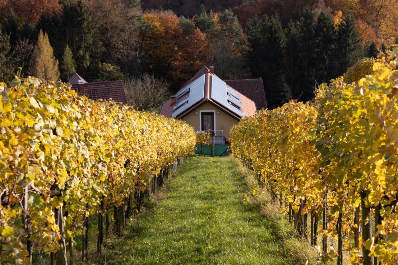 Weinberghaus Am Burgstallkogel Leibnitz Ngoại thất bức ảnh